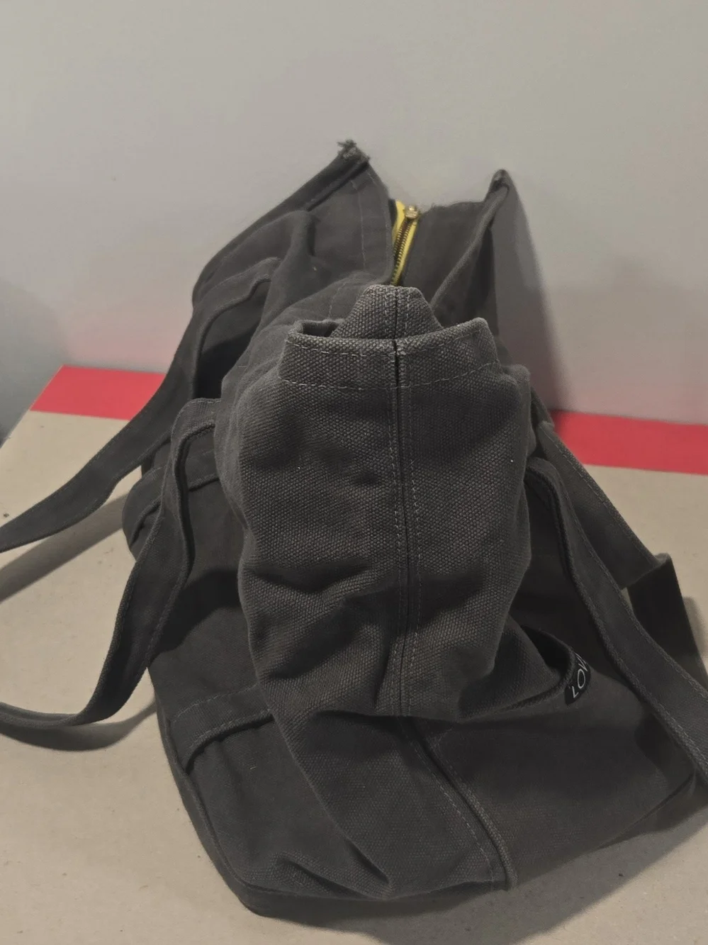 Love Thy Beast Gray Canvas Pet Tote